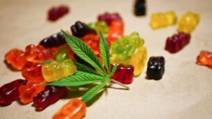 Weed Gummies