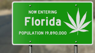 Is Weed Legal In Florida