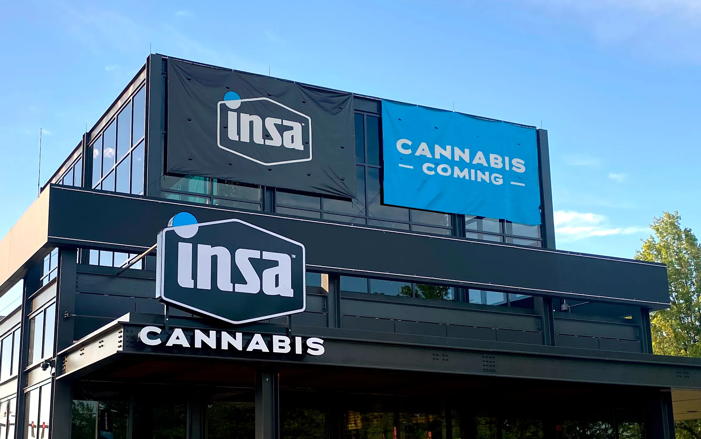 Insa Springfield: Elevating the Cannabis Experience