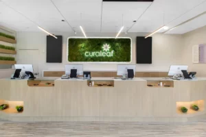 Exploring Curaleaf Hartford: A Beacon of Medical Cannabis Care