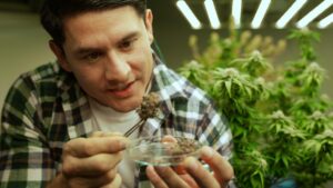 Florida Hemp Laws