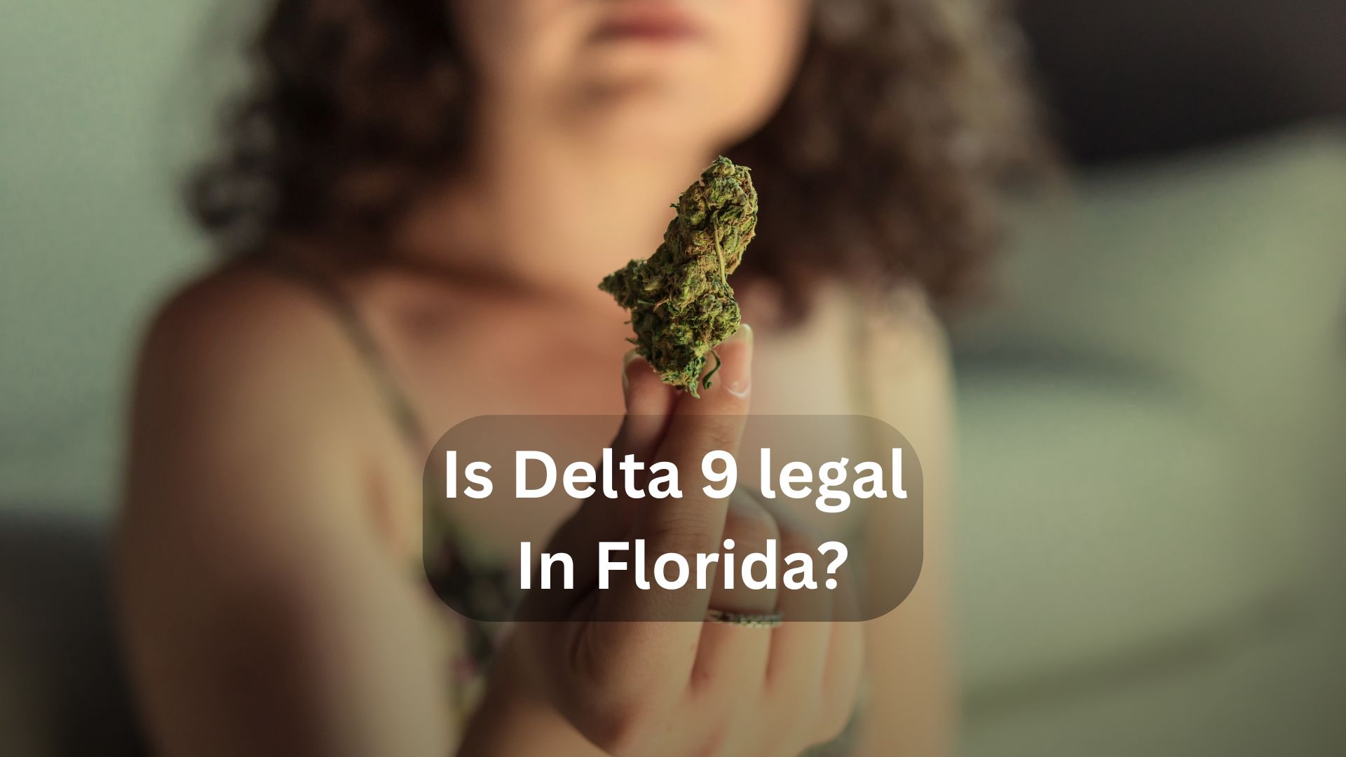 Is Delta 9 legal In Florida?