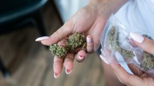 Is It Legal To Sell Marijuana In Florida
