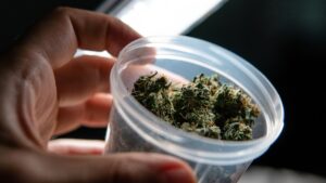 Cannabis In Las Vegas