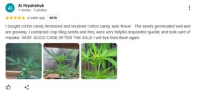 Crop King Seeds Customer Review 1