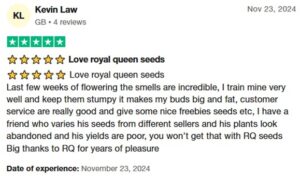 Customer Reviews For Royal Queen Seeds 3