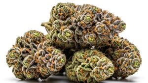 Weed Strains